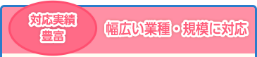 対応実績豊富 幅広い業種・規模に対応